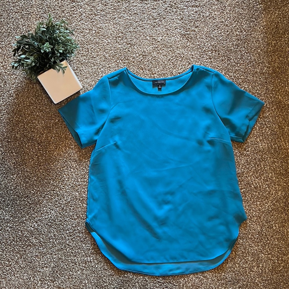 The Limited Blouse
